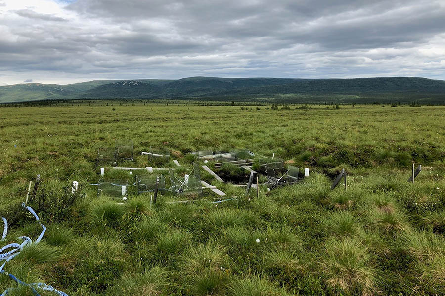Researchers used these test plots to study the effects of warming on microbial communities in the interior Alaskan landscape. (Photo: Ted Schuur, Northern Arizona University)