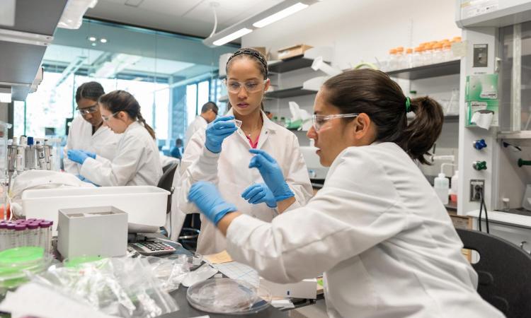 Female students in a lab with pipettes 