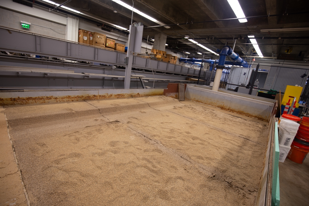 A vat of sand in a laboratory
